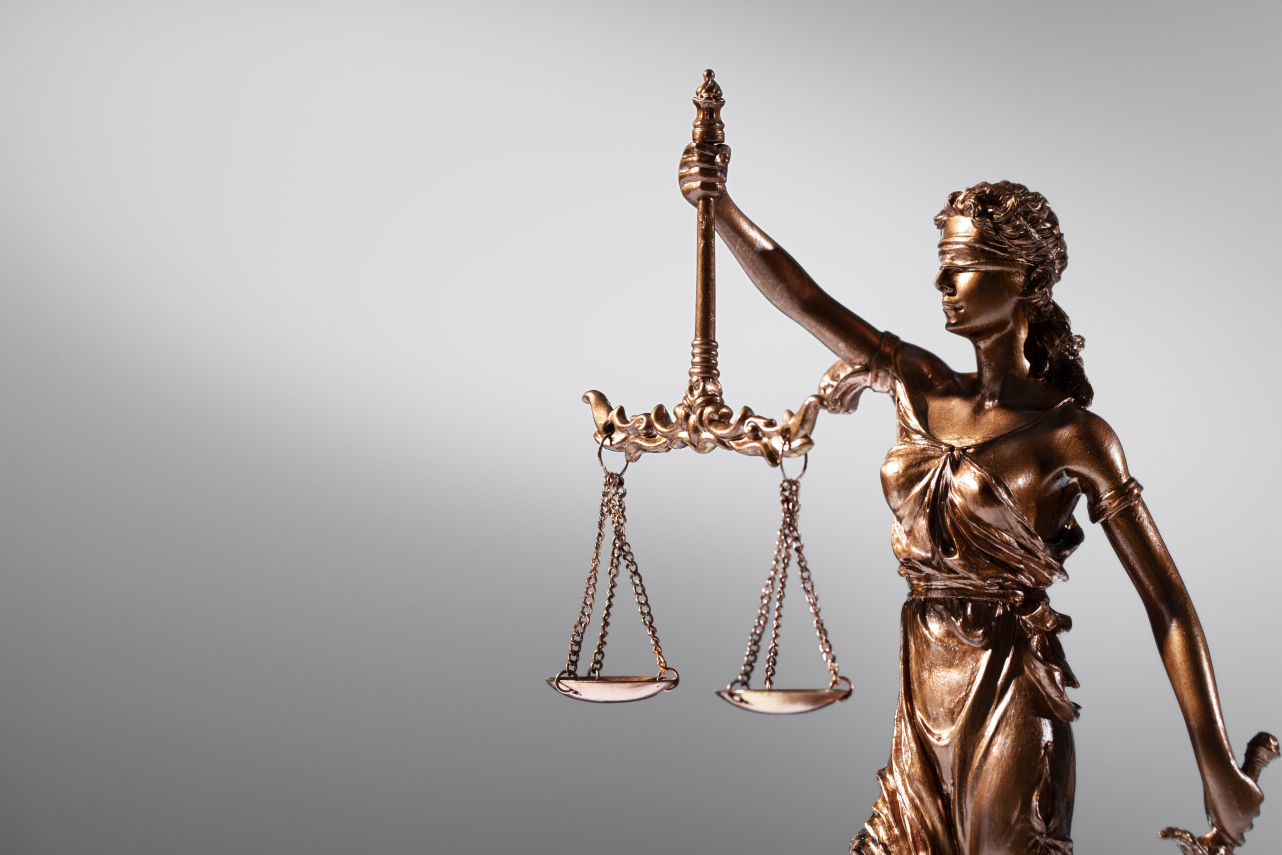 "From complex litigation to seamless contracts – we cover it all."